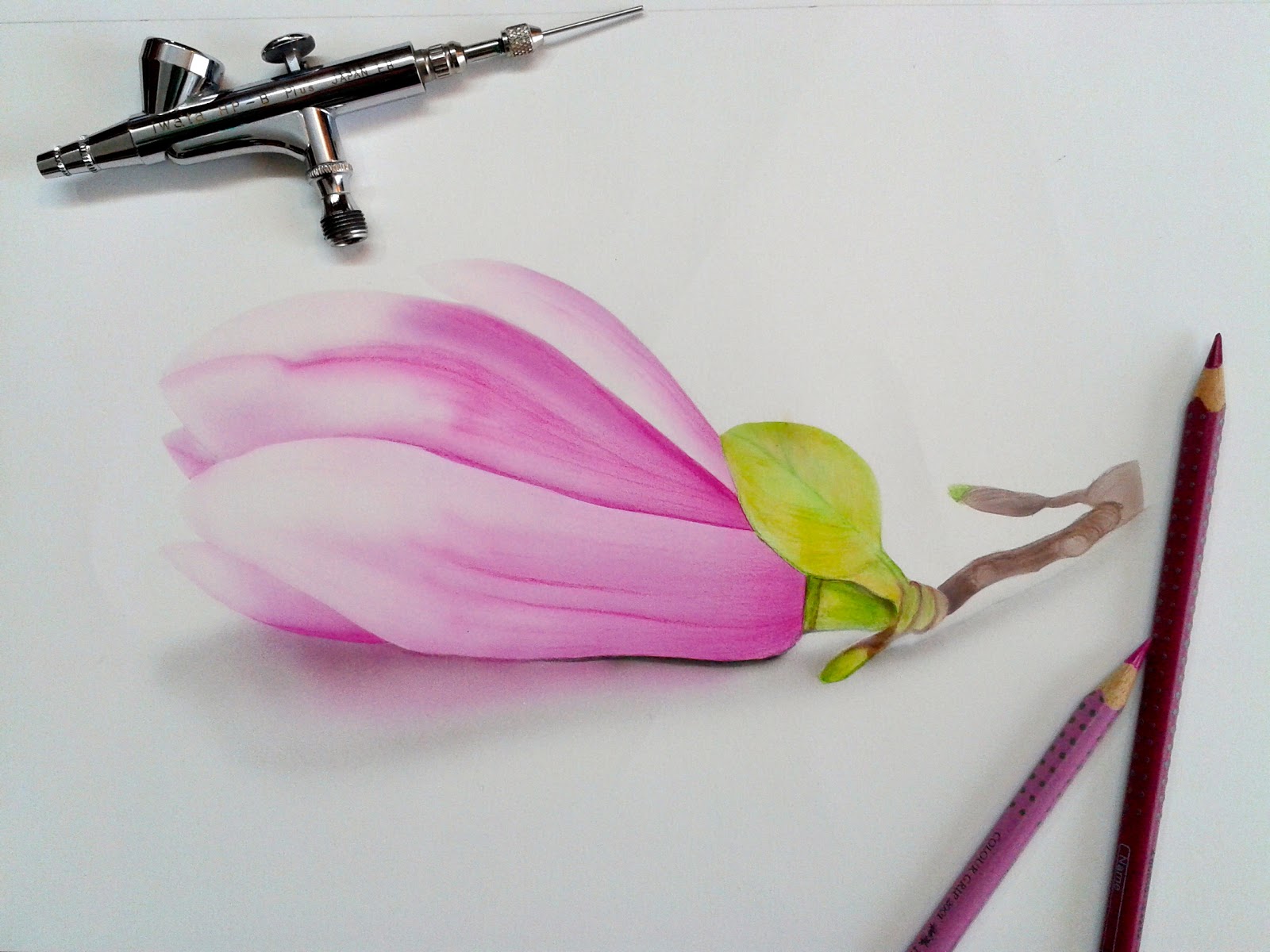 stunning fiore di magnolia magnolia flower with disegni di fiori colorati