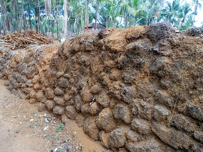 Cow dung fence, village of Kannur, Kerala