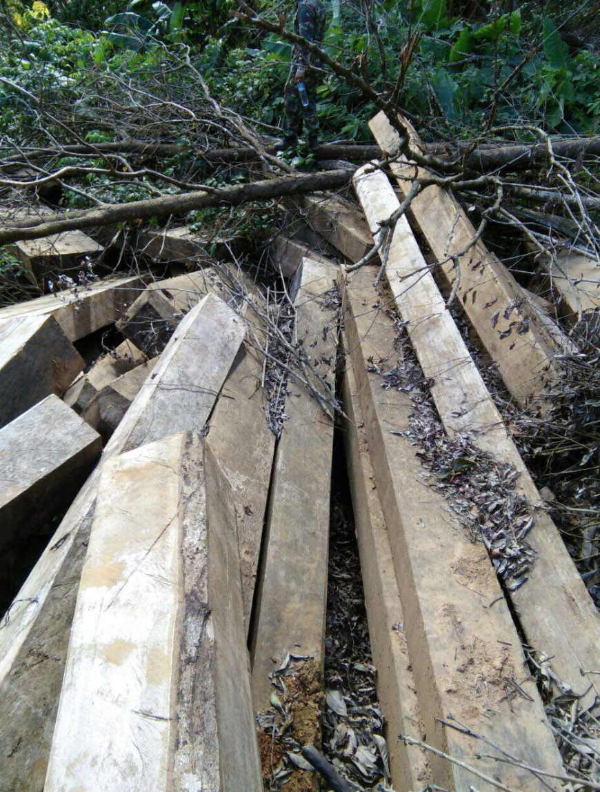 Screen%2BShot%2B2017-12-14%2Bat%2B11.50.