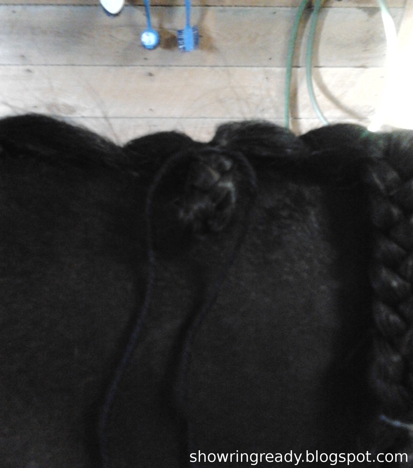 Show Ring Ready: Foolproof Jumper Braids