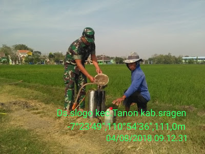 PERANGI HAMA, BABINSA SLOGO BANTU PENYEMPROTAN PADI