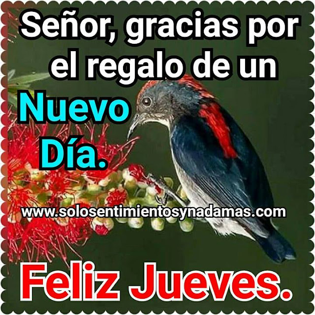 Feliz jueves.