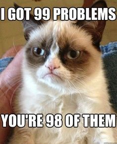 grumpy cat 99 problems, grumpy cat,tardar sauce, grumpy meme