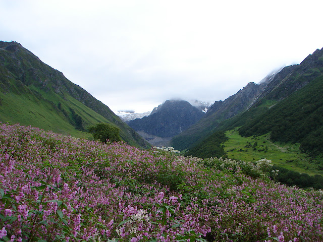 Valley of flowers trek in the Garhwal Himalyas beyond Hemkund sahib shrine