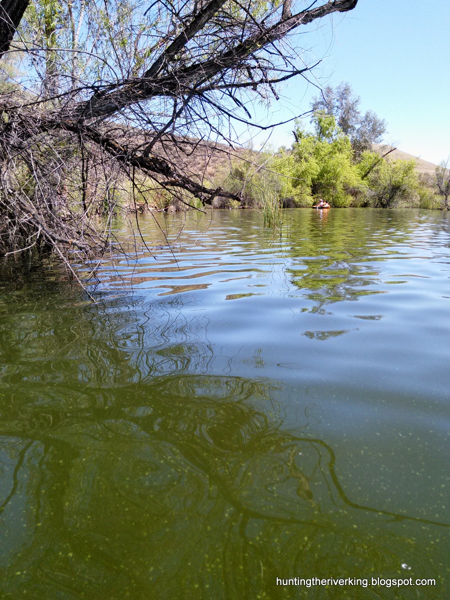 Riverside Bass Fishing Hunting the River King
