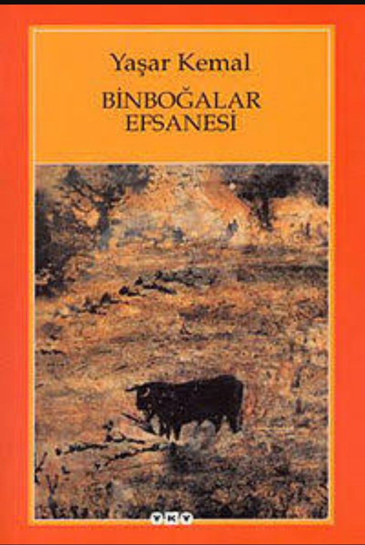 Binboğalar Efsanesi - Yaşar Kemal - Kitap Yorumu