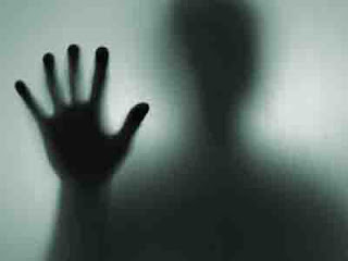 Dampak Algoritma Google Phantom Dampak Algoritma Google Phantom