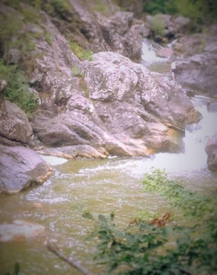 DE VIZITAT, IN ROMANIA