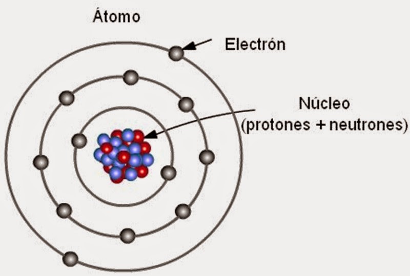 La Mitocondria: La atomoevolución