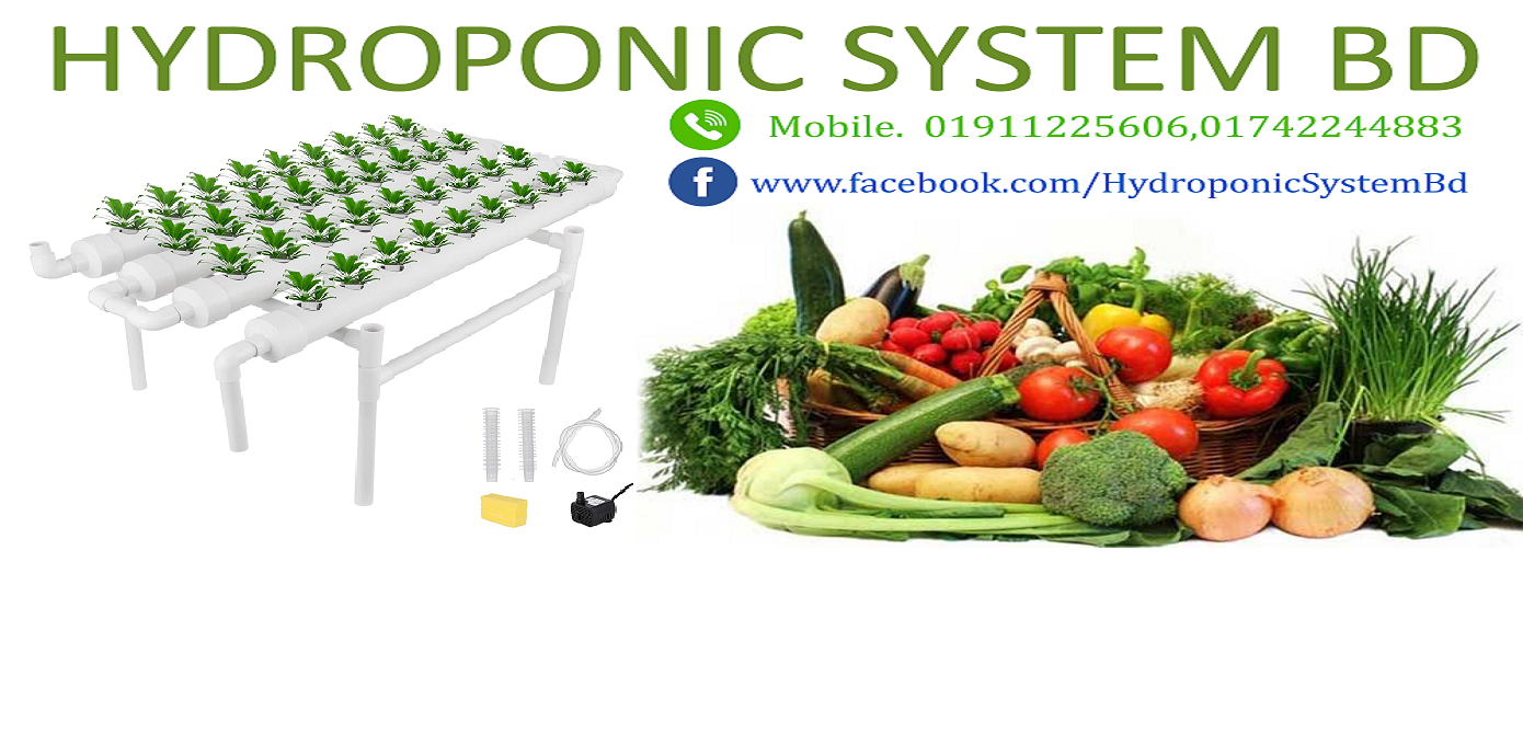 hydroponic system bd
