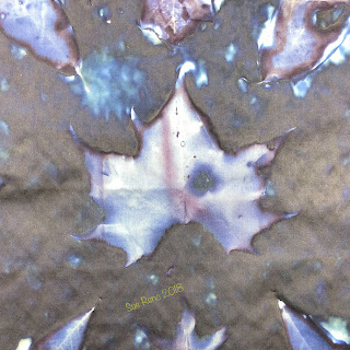 Wet cyanotype_Sue Reno_Image 552