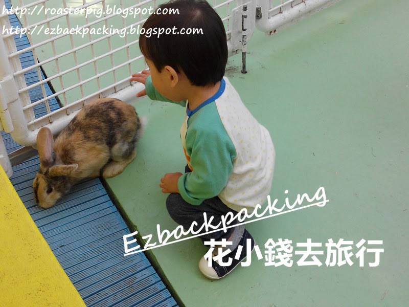 江戶川區自然動物園摸兔子