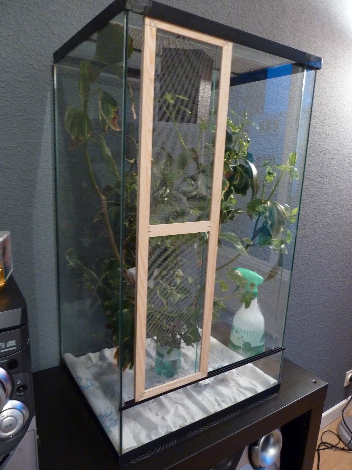 Wandelende takken van Noedel Huisvesting