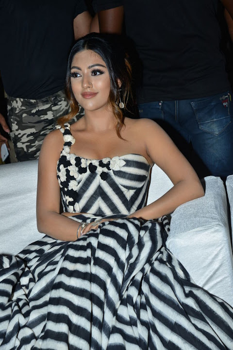 Anu Emmanuel at Naa Peru Surya Naa Illu India Pre Release Event