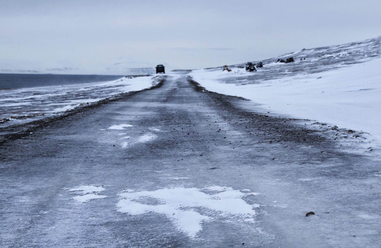DICAS para visitar SVALBARD, a ilha acessível mais próxima do Pólo Norte | Noruega