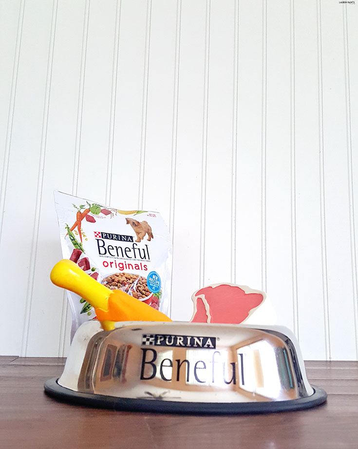 Changing up your dog's life doesn't have to be a stressful thing... Find out more about Beneful's NEW formula and get the directions to make your pup a toy out of materials you likely already have in your home! #FriendsofBeneful