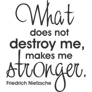What does not destroy me makes me stronger