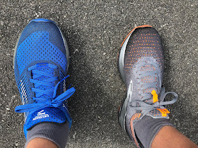 difference between brooks levitate 2 and levitate 2 le