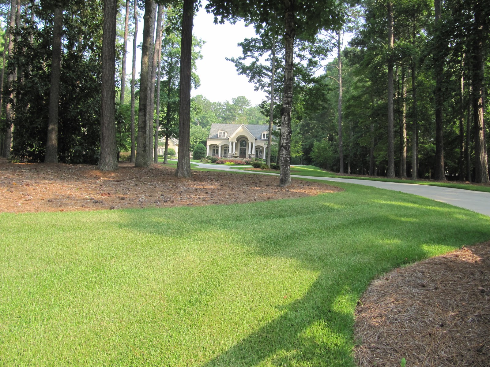 Pam Santoro Alpharetta, GA Real Estate Agent Cameron Crest Farms