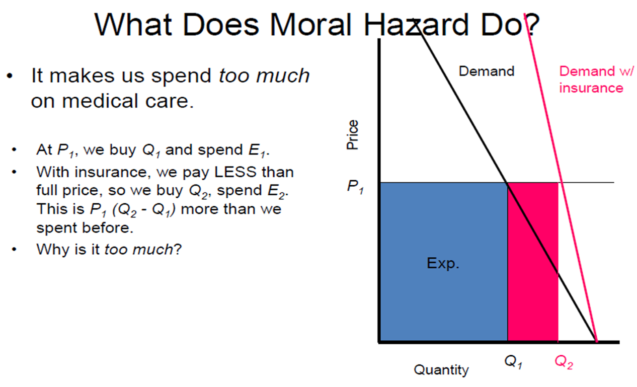 Blog of Economics - My College Learning Journey: Moral Hazard and