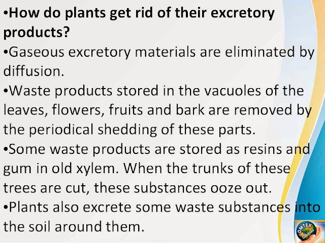 OMTEX CLASSES: How do plants get rid of their excretory ...