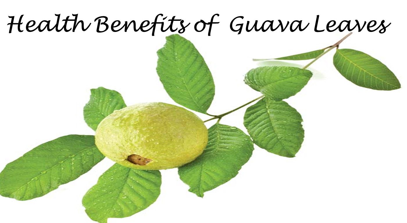 LA SOLIDARIDAD HEALTH BENEFITS OF GUAVA LEAVES