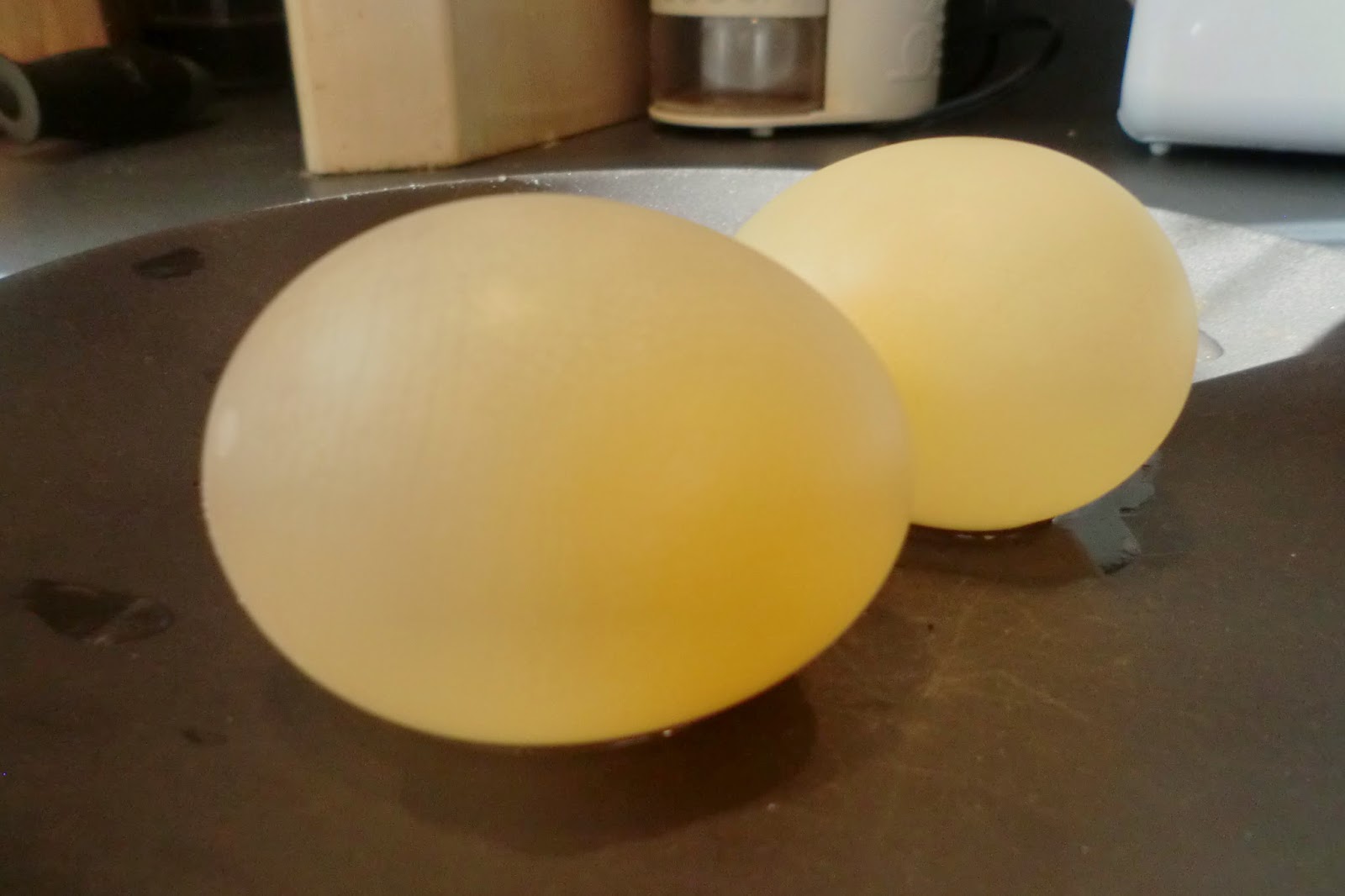 Science Boost : The bouncy, transparent eggsperiment.