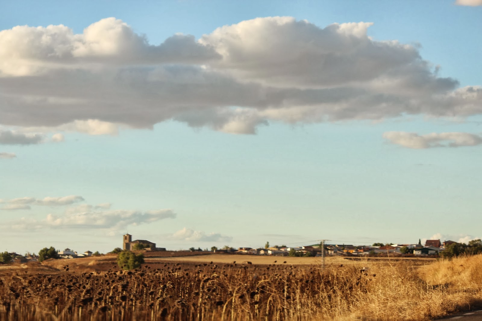 Historia y Genealogía Almendros. Cuenca