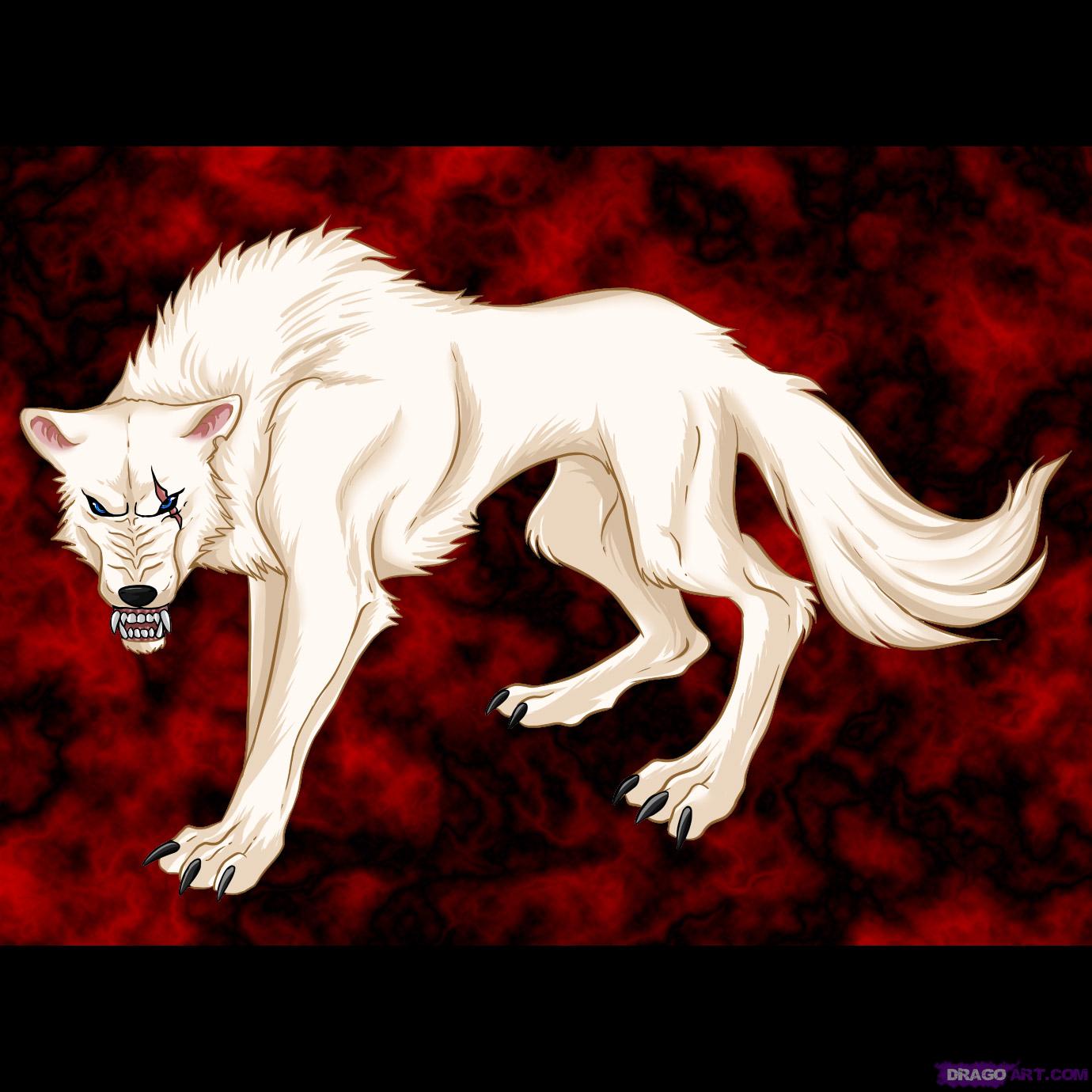 Anime Wolf - Types Animal