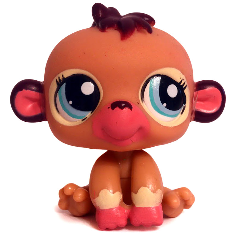 All Star Pets Canon City Dog Park in Egg Harbor City NJ All Star