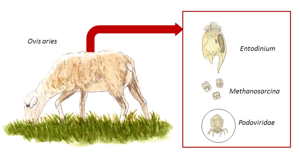 El Naturalista: Viviendo sin aire