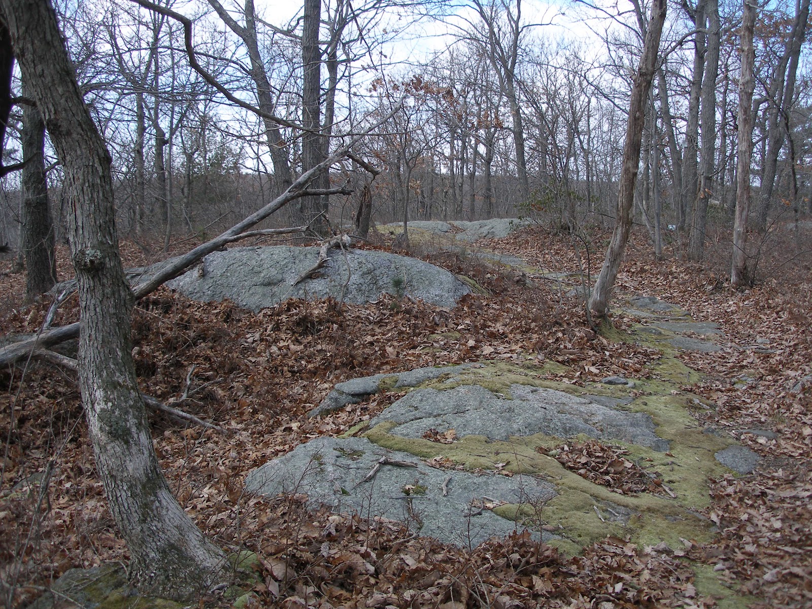 Hiking the Connecticut 400: Compounce Ridge and Tunxis Trails