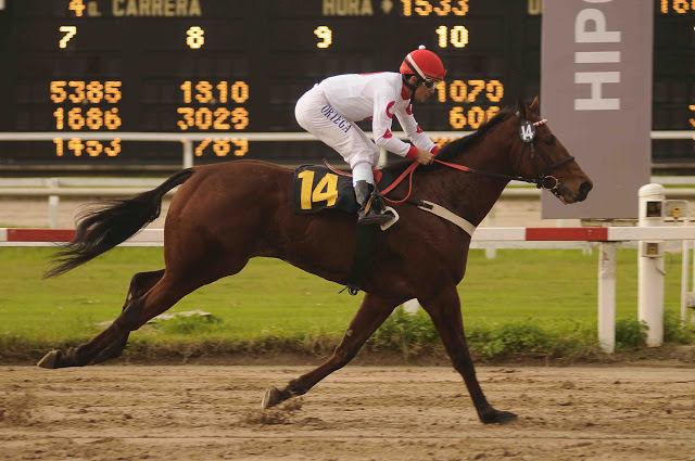 Power Up corre hoy el Clásico Isidoro Aramburu en La Plata Power Up Key Deputy La Plata