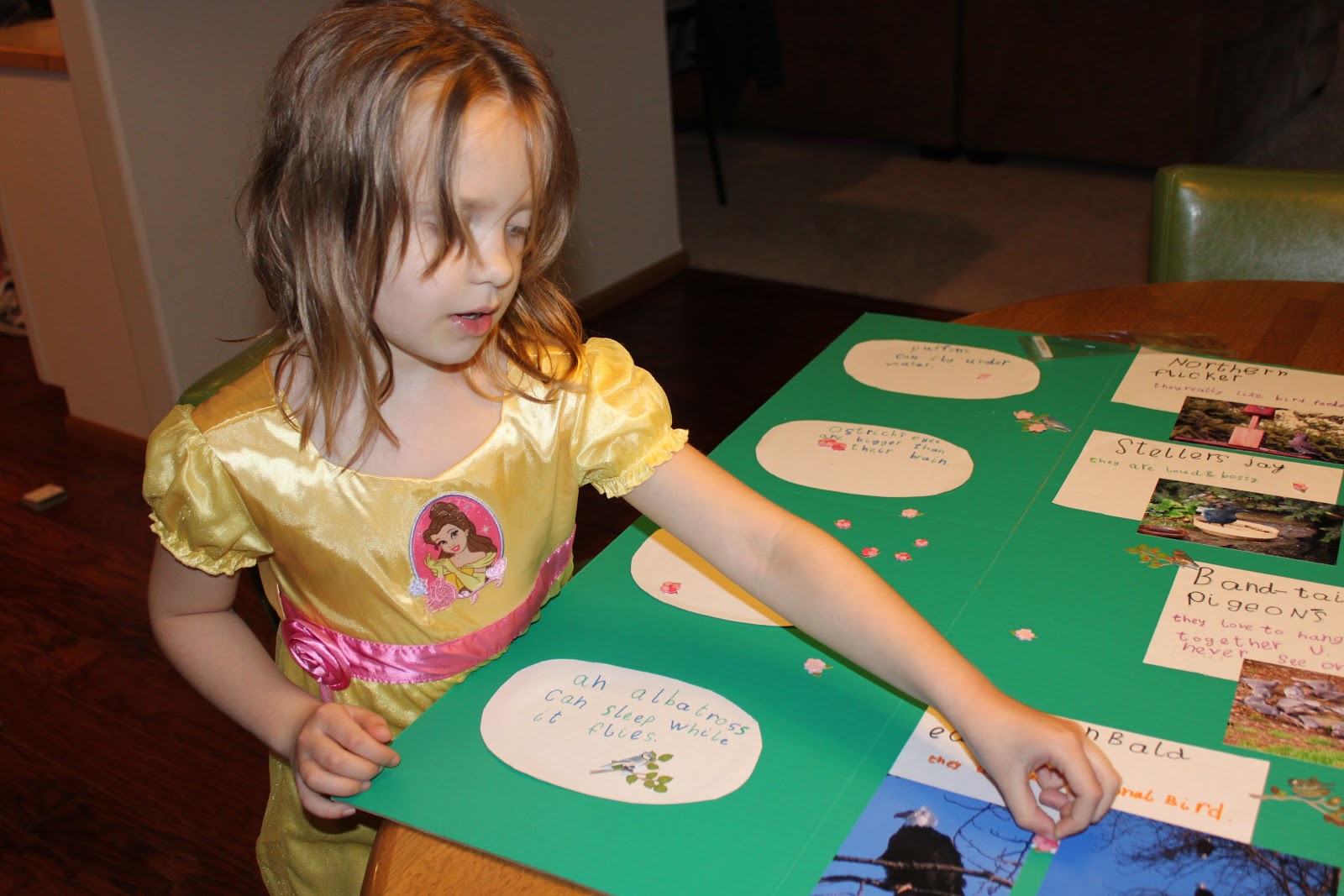 The Adventures of Scott, Jessica, Addy Bear and Little Charlie: First