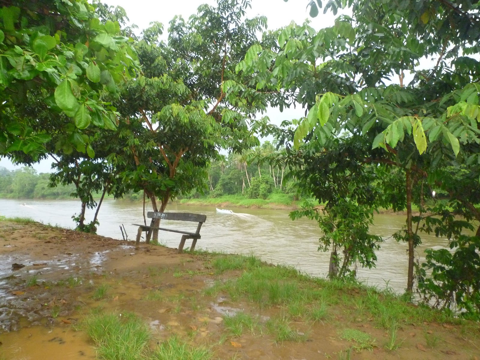 Somos Agua Las tres culturas del río Cayapas