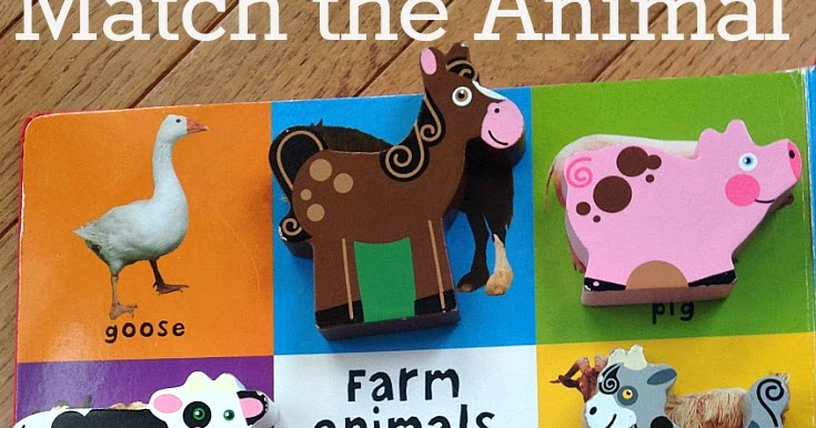 Match The Animal Book & Puzzle Activity | Sunny Day Family