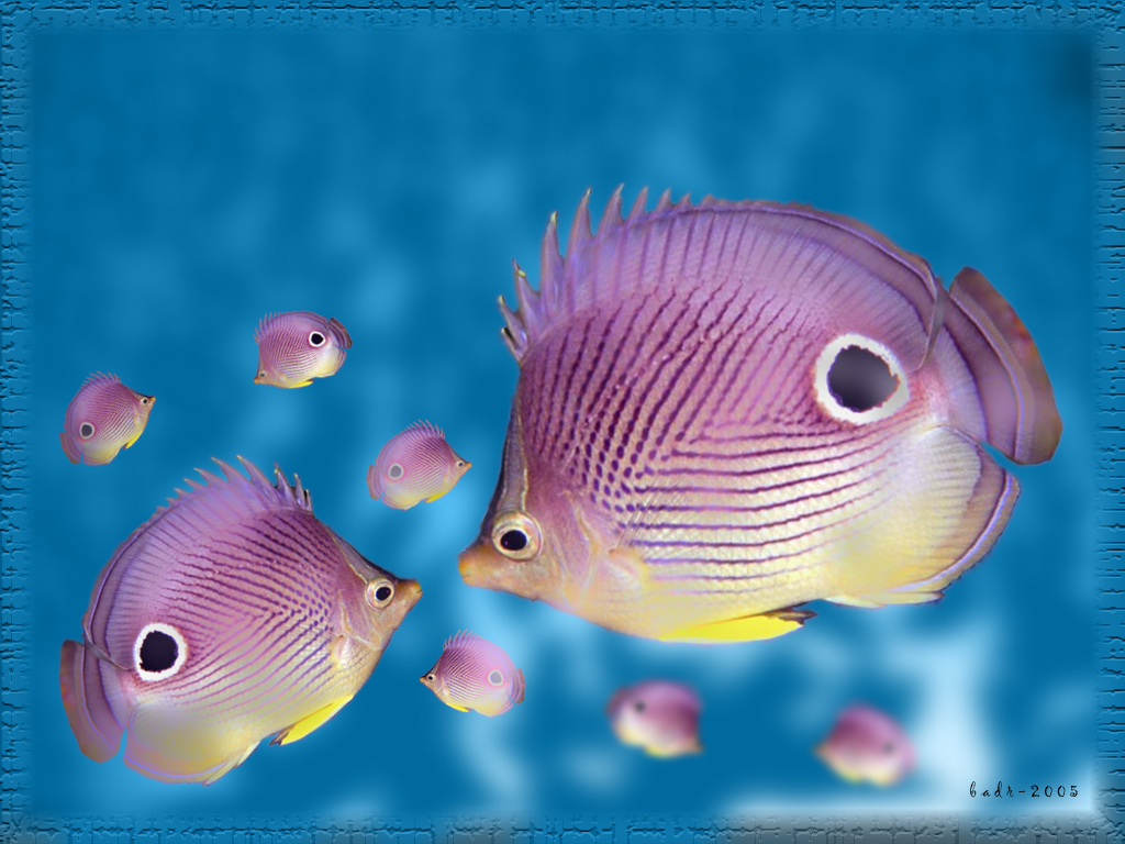 Потомство аквариумных рыбок. Экзотические рыбы. Милые рыбки. Милые аквариумные рыбы. Рыбка розовый.