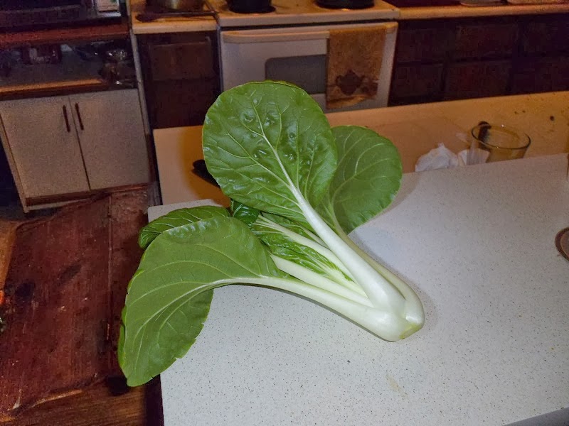 Bok Choy Chinese Mustard Greens and Machines
