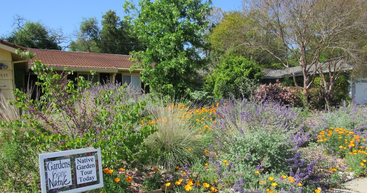 Gardens Gone Native A Native Plant Garden Tour in the Sacramento Valley