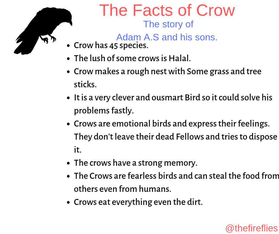 Islamforkids Crow in The story of Adam A.S and Habeel/Qabeel. carft