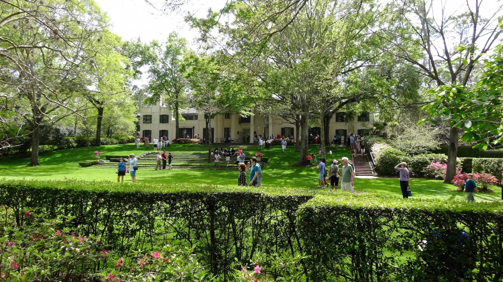 The Bayou Botanist Houston's Azalea Trail