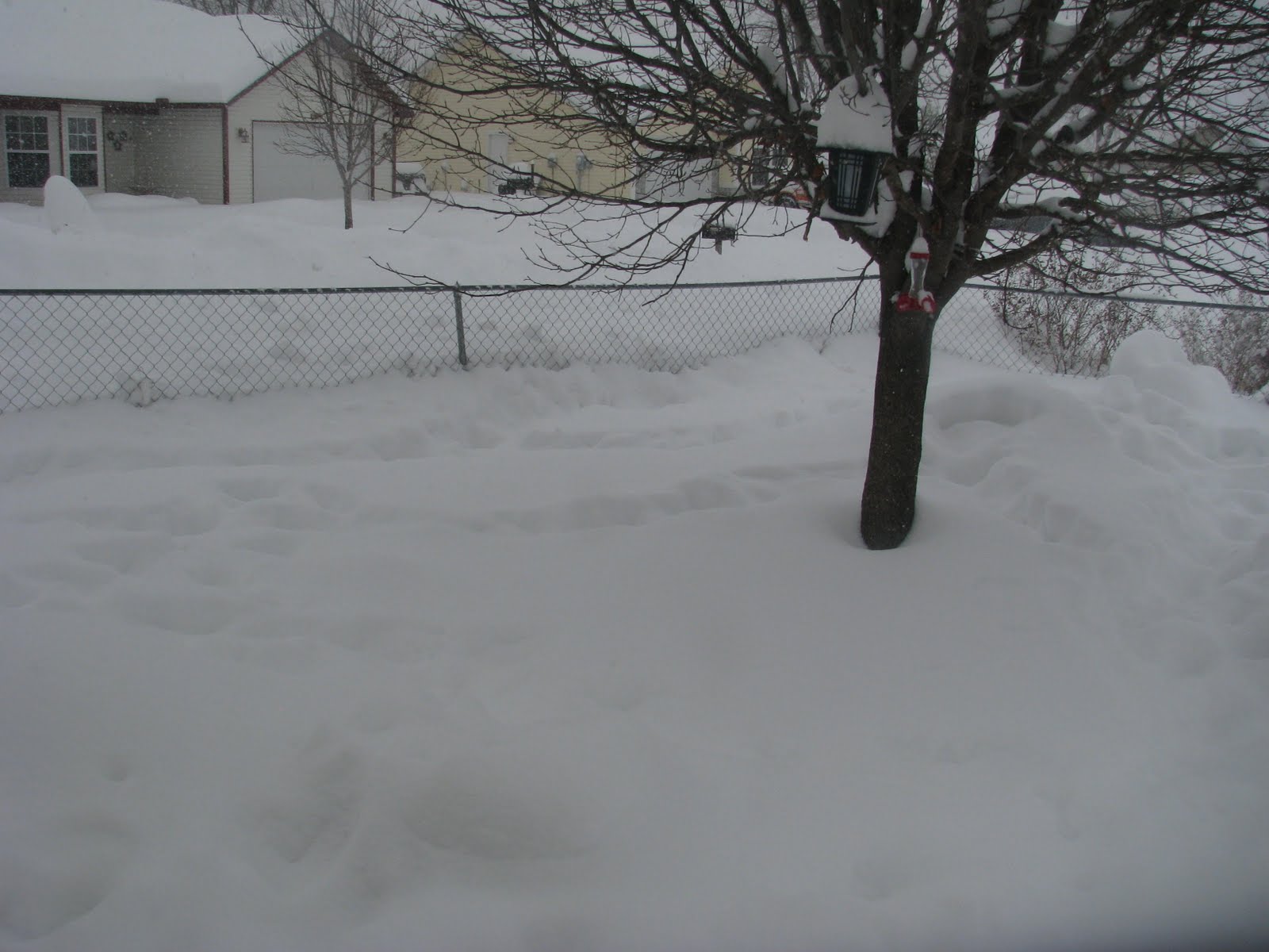 Living Creatively: Record Snow Falls!