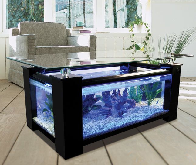 36 Model Meja Aquarium Modern Dan Tampil Beda Rumahku Unik