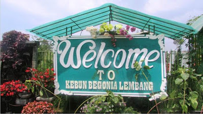 Taman Bunga Begonia Lembang