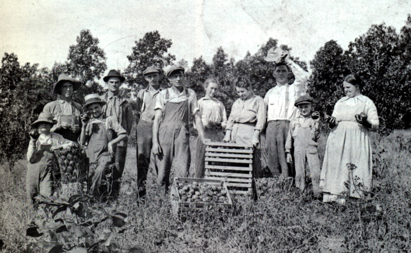 Passages Orchards of The Past