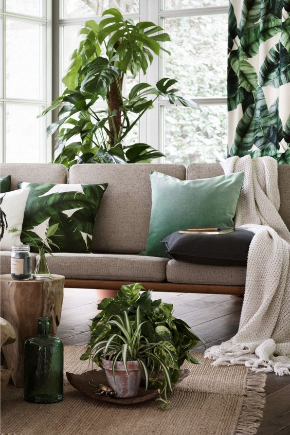 SCANDIMAGDECO Le Blog: Tendance déco Urban Jungle