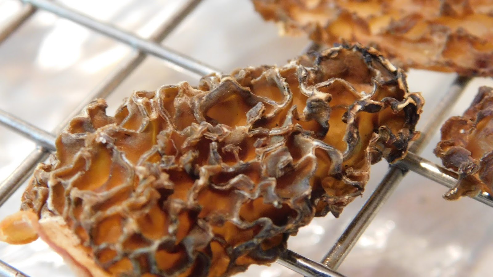 Self Healthie How to Dehydrate Hickory Chickens in the Oven