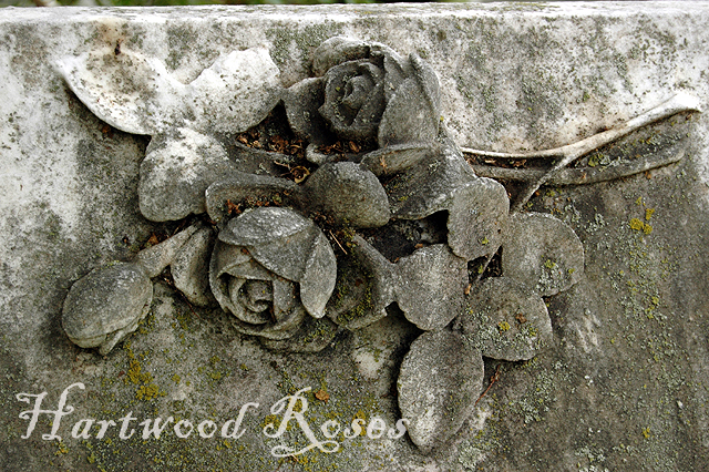 Hartwood Roses: Carved in Stone