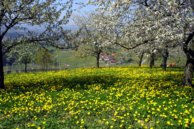 Google1st Mai 1st May