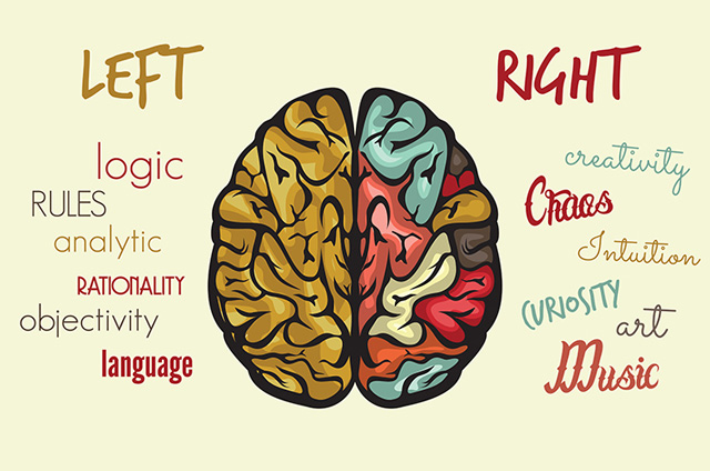 I Love Psychology Perbedaan Fungsi Otak Kanan Dan Otak Kiri